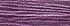 Aunt Marie's Violet
