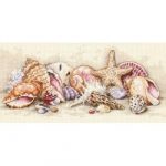 Gold Petites Seashell Treasures Counted Cross Stitch Kit