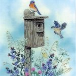 The Bluebird Trail