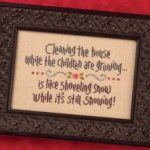 Cleaning The House