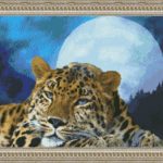 Leopard Moon