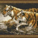 Wading Tigers