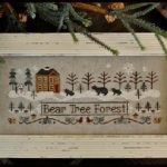 Bear Tree Forest