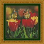 Tulips & Monarch Butterflies