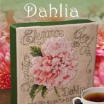 Dahlia