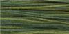 BLUE SPRUCE