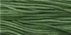 MONKEY GRASS