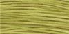 GRASSHOPPER
