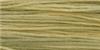CITRONELLA
