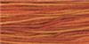 TERRA COTTA