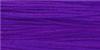PURPLE MAJESTY