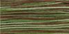 FOLIAGE