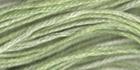 Wasabi