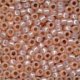 Size 8 Beads 18819