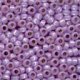 Size 8 Beads 18824