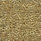Petite Beads 40557