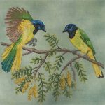 Green Jays