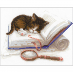 Kitten On The Booklet