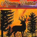 Morning Whitetail