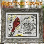 Sign From Heaven
