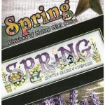 Spring - Divisions Of Nature