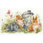 Funny Rabbits