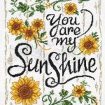 Sunflowers & Sunshine