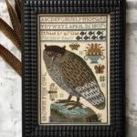 Brown Fish Owl