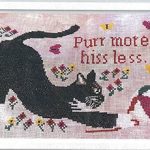 Purr More
