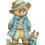 Teddy Bear In Visit