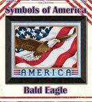 Symbols of America - Bald Eagle