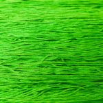 Key Lime