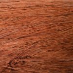 Chestnut