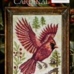 A Year in the Woods II - Part 7 - The Northern Cardinal